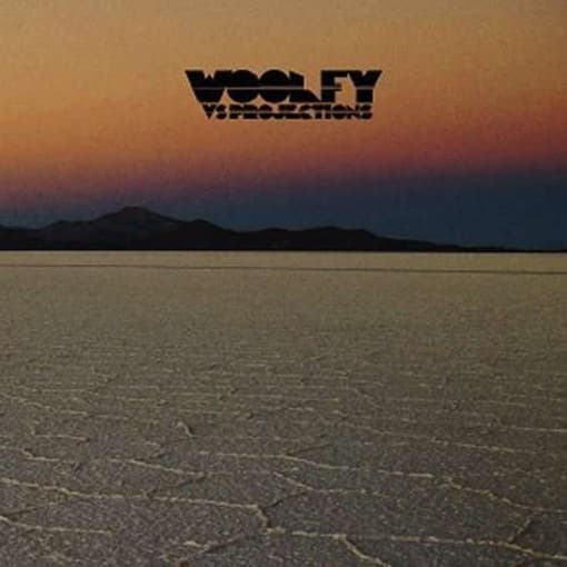 Woolfy vs Projections - Stations (CD)