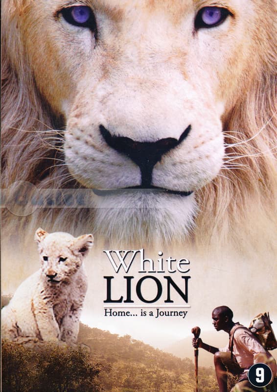 White lion