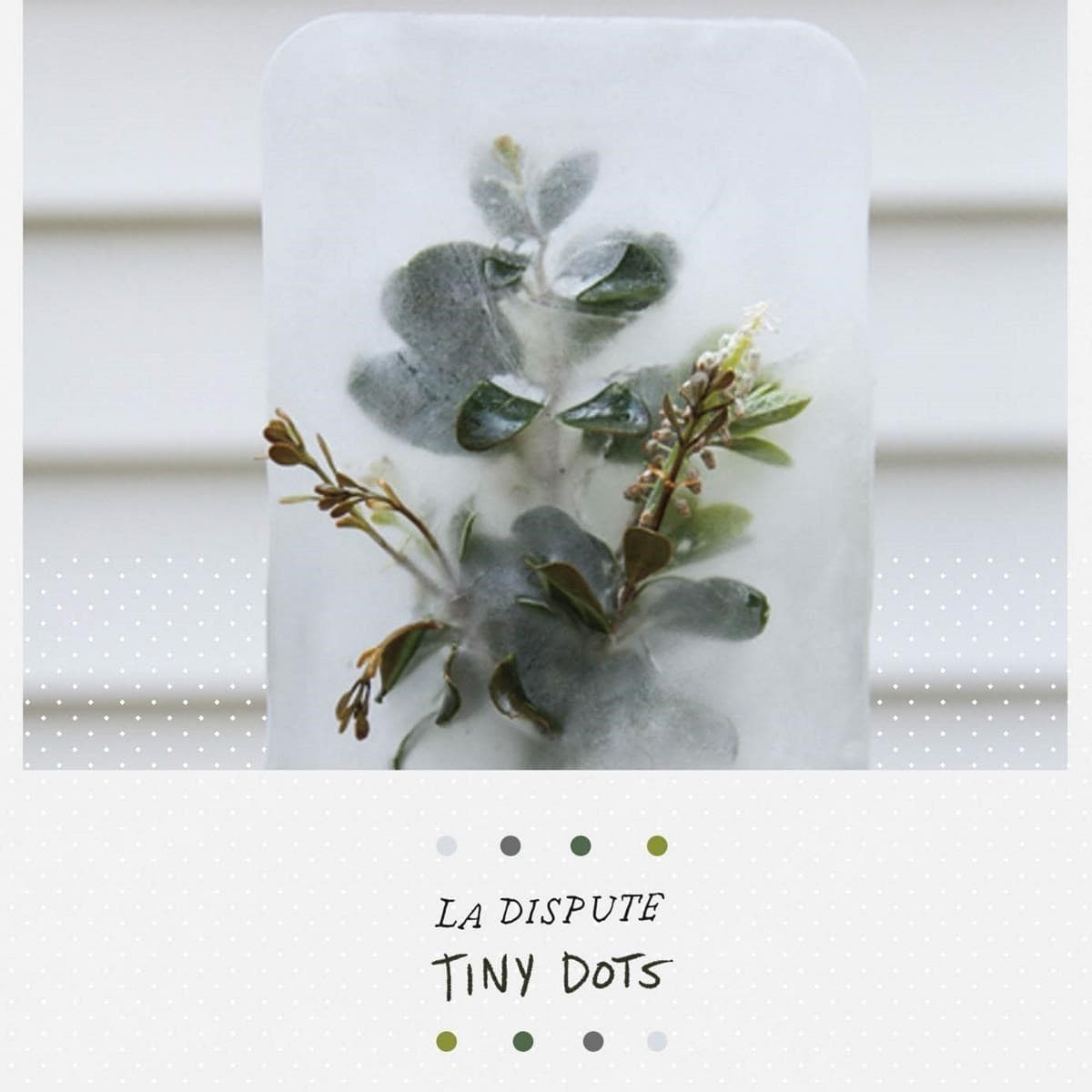 La Dispute - Tiny Dots (DVD)