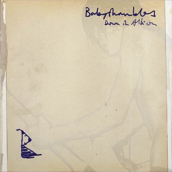 Babyshambles - Down In Albion (2 LP)