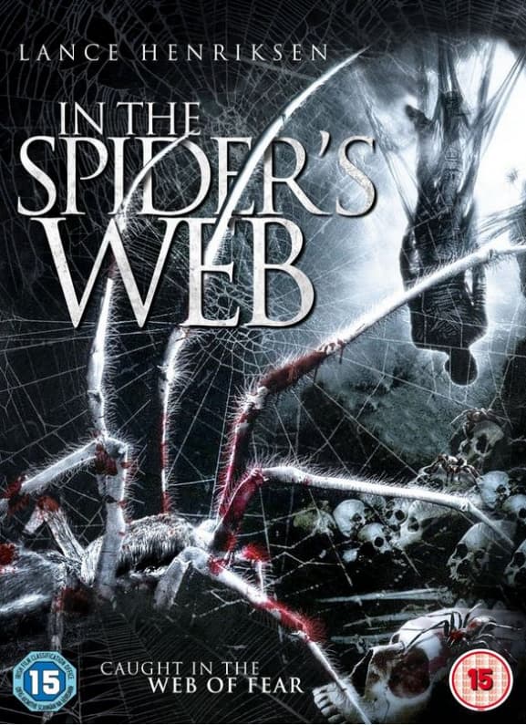In The Spider's Web (Import)