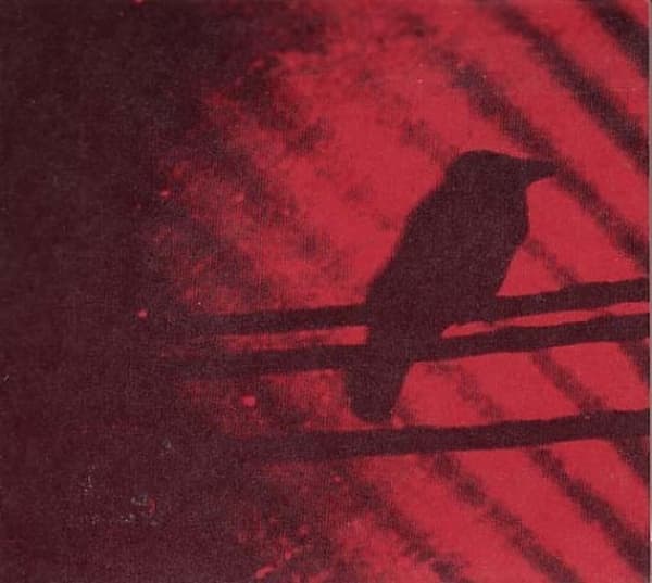 Thee Silver Mt. Zion Memorial Orchestra - Born Into Trouble As The Sparks Fly Upward. (2 10" LP)