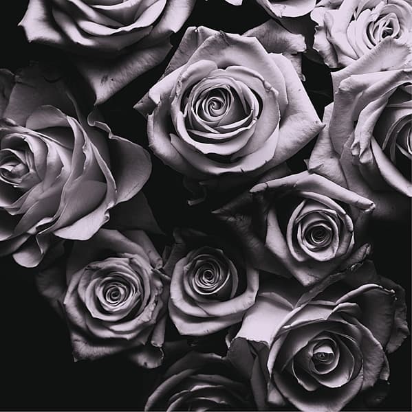 Zomby - With Love (3 LP)