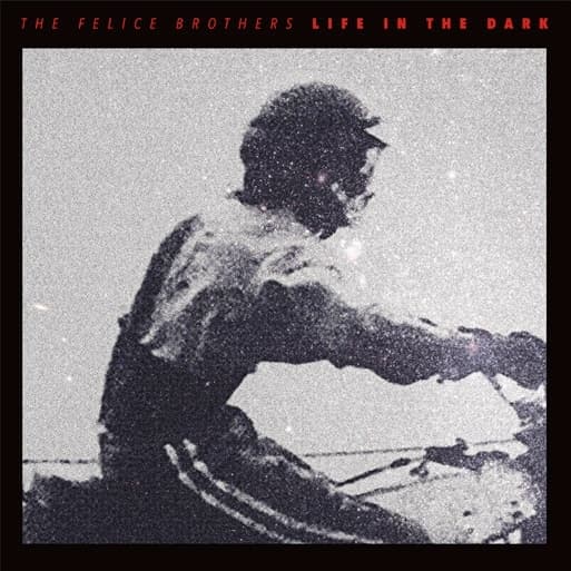 The Felice Brothers - Life In The Dark (CD)